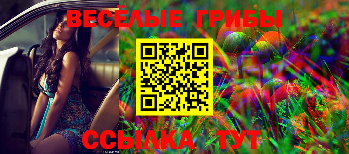 Псилоцибиновые грибы Cubensis Коркино