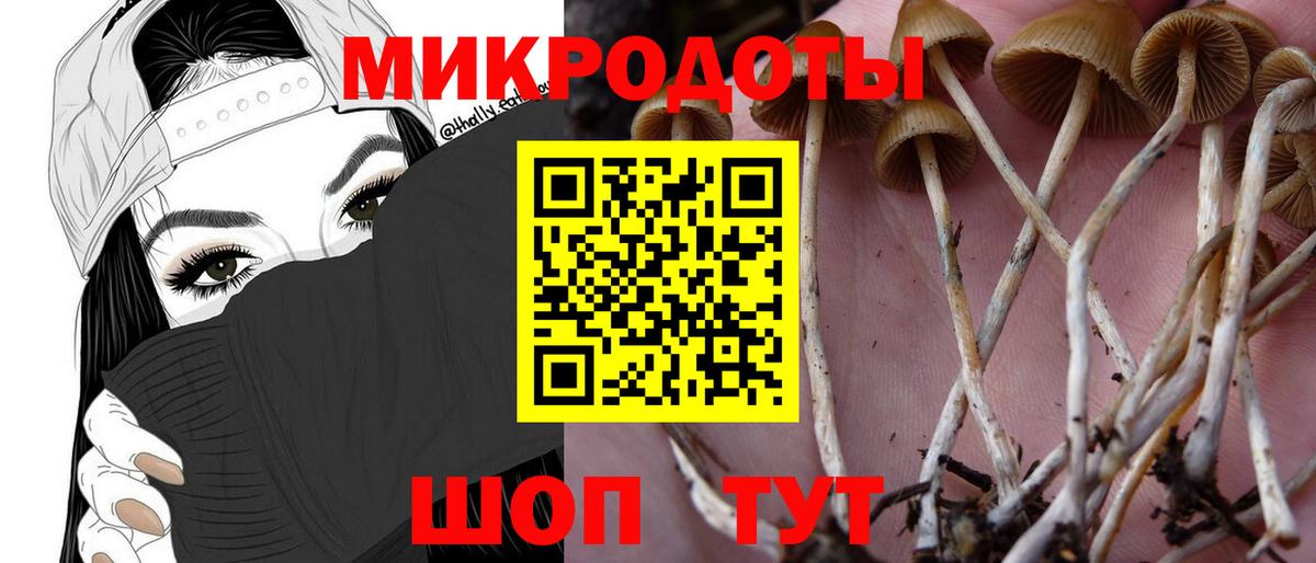Галлюциногенные грибы Magic Shrooms  Вход с VPN  Коркино  Псилоцибиновые грибы GOLDEN TEACHER 